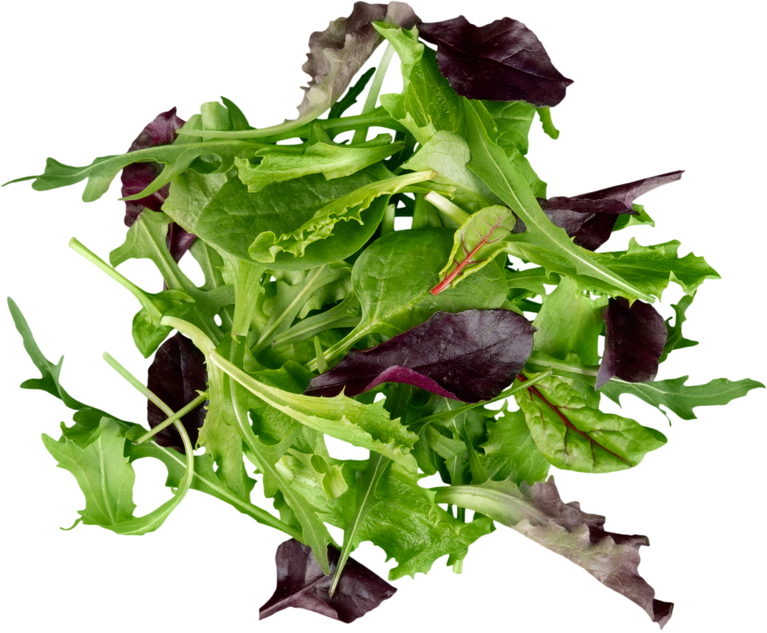 Salad Mix - Isolated